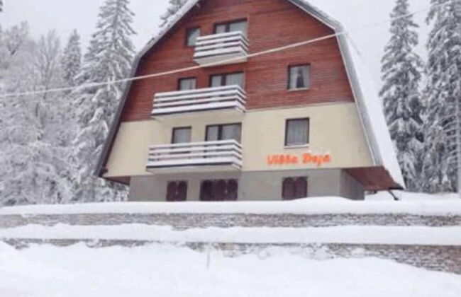 Villa Deja Jahorina - Foto 31