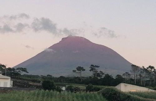 Dream View in Pico - Photo 12