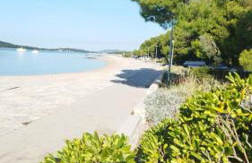 Oleander adria - Foto 27