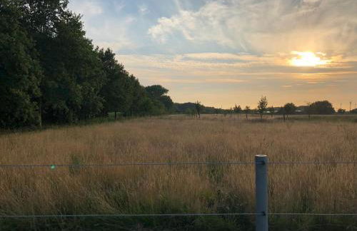 Ferienwohnung Lands Huys - Photo 31