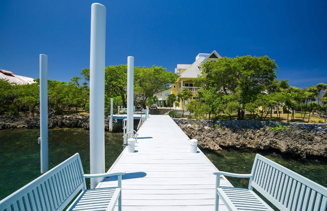 Yellow Bird - Foto 22