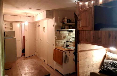 Studio Alpheratz Forest - 1 à 3 pers - WIFI, balcon, vue piste et glacier Muzelle, calme, proche commerces et pistes- TSC Super Venosc à 80m - Foto 7