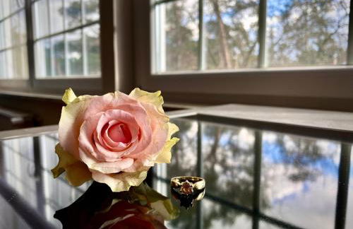 Residence Black Eagle Lubmin Strand - Foto 94