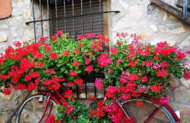 Casa rural Las Masadas - Foto 20