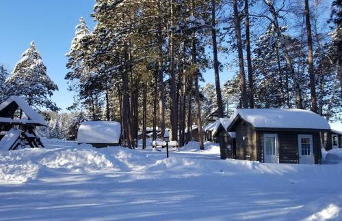 Cedaroma Lakeview cozy Cabin 6 Amazing Views - Photo 22