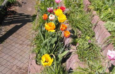 Ferienwohnung Borchert - Foto 26