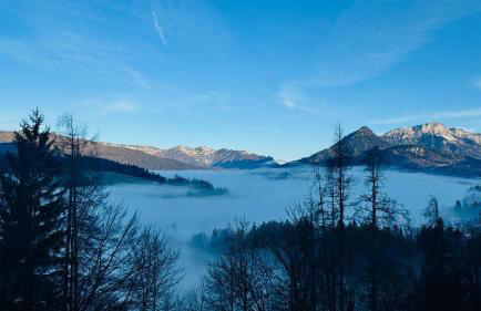 Ferienwohnung BergSucht - Foto 15