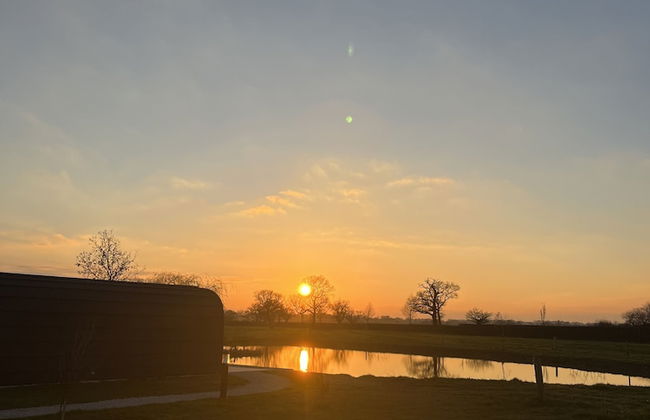 New Farm Holidays - Photo 20