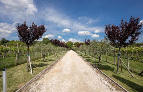 APPARTAMENTO CASA VACANZA AGRITURISMO BORGO di CALMASINO - Foto 43