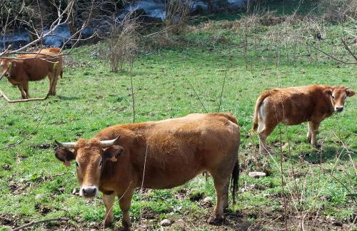 Casa Nayala - Foto 68