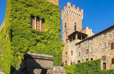 Castello Ginori Di Querceto - Foto 13