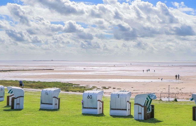 Halligstork - Foto 19