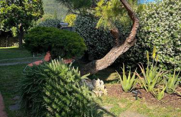Casa Oasi nel verde - Photo 28