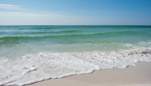 Sand Dollar E-101 - Foto 5