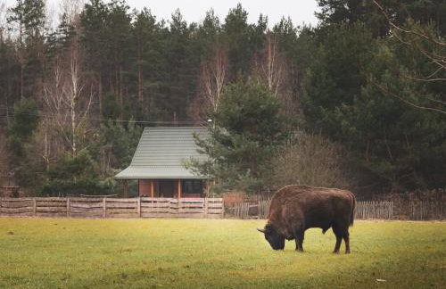 Leśna 21 Dom Północ przy PUSZCZA BIAŁOWIESKA - Foto 1