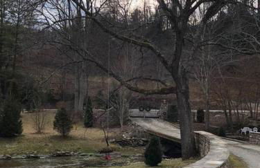 Fairytale: Hot Tub & Trout Stream & Petting Zoo? - Foto 57