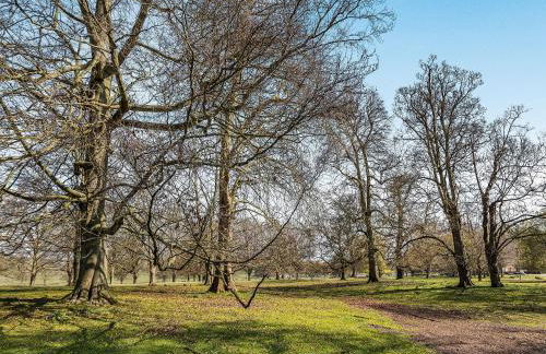 Lion Gate Lodge - Foto 22