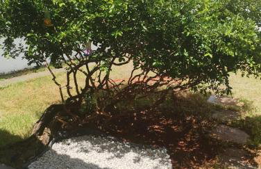 Casa Aconchegante ideal para agrishow - Foto 35