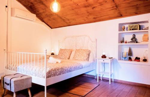 Live Buenavista El Palmar - Foto 4