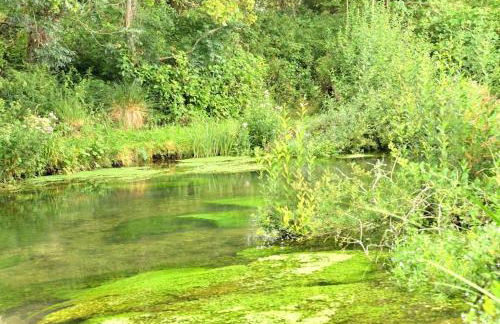 Cosy house, a train spotter's delight! - Foto 14