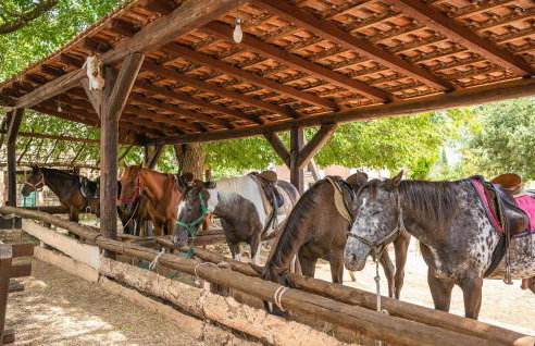 5 Bedroom Nice Home In Manjadvorci - Foto 53