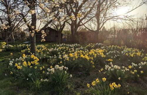 ferme de caractère avec piscine et cheminée - Foto 25