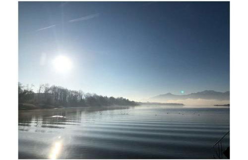 Dennenboomdroom - Foto 67