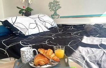 STUDIO NEUF PARKING SECURISE Direct CDG et PARIS CENTRE Parc expo Villepinte & Arena Grand Paris - Foto 8