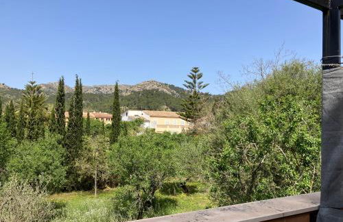 Sweet William - Foto 28