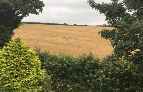 Higher Trewithen - Photo 78