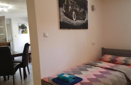 Alpaka-Ranczo AFF - Foto 55