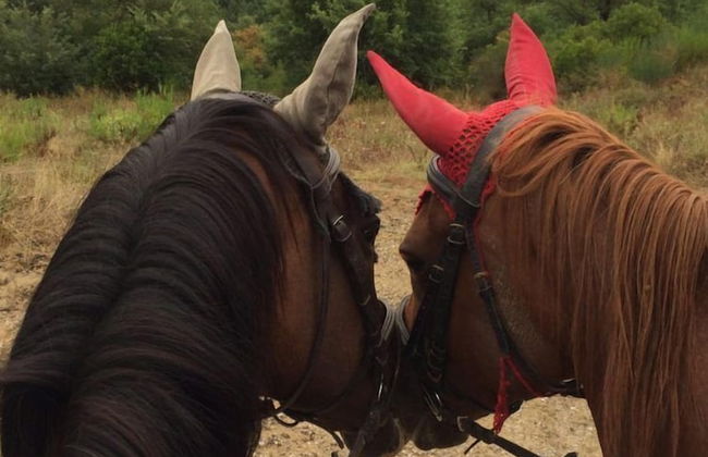 Agriturismo Vocabolo Poggio del Pero - Foto 52