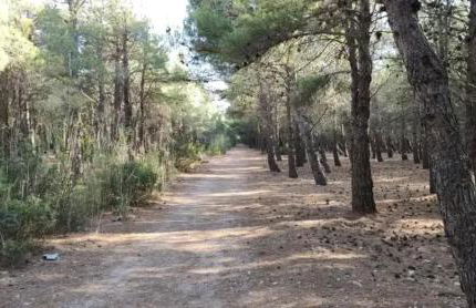 Appartement charmant à Fitou avec piscine partagée - 36 m² - Foto 21