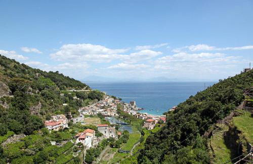 Limoneto Di Ercole - Foto 17