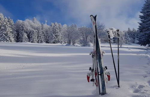 Apartment Charmante Wohnung in Langfurth mit Kleinem Balkon by Interhome - Foto 11