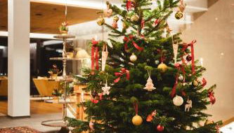 Residence Iris - Photo 2