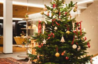 Residence Iris - Foto 2