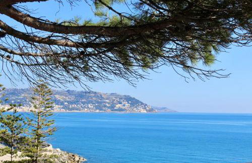 Le Mimose Terrace - Photo 22