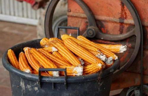 Agriturismo Chioi - Foto 11