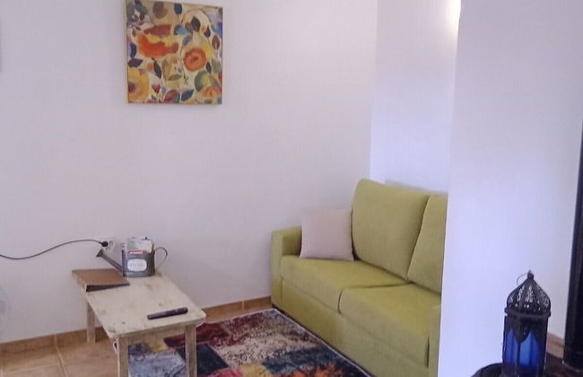 Casa Adega - Quinta Amoreira - Foto 4