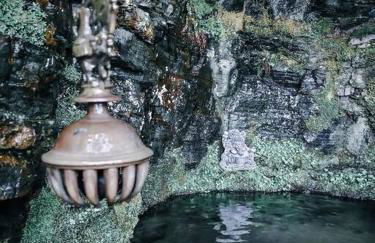 Tan y coed's Rosemary Cabin - Photo 17