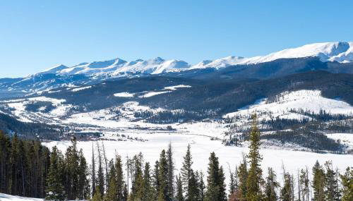 Oro Grande 416 - Foto 3