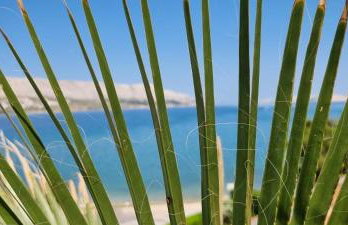 Villa Kajgo II - Photo 21