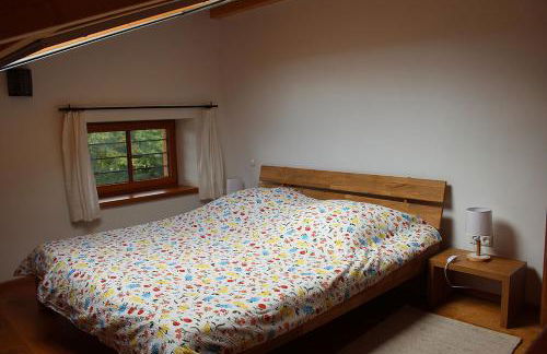 Fembacher Alm - Photo 46