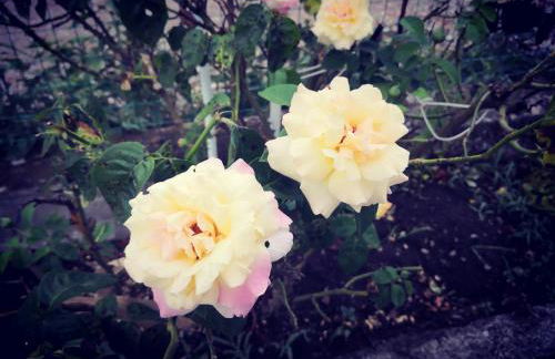 C'era una volta appartamento Queen - Foto 48