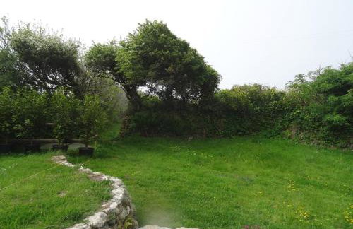 The Studio - Foto 13