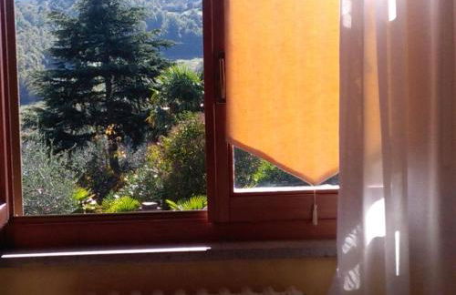 Il gelsomino del Perugino - Photo 19