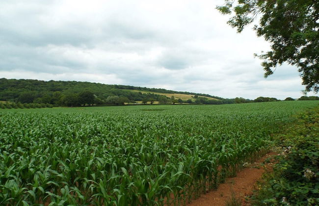 Relaxing Studio - Sauna - Luxe Bed - Pet-friendly - Foto 12