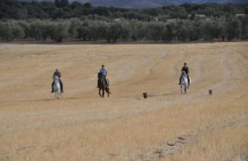 Finca Los Jacaros - Foto 55