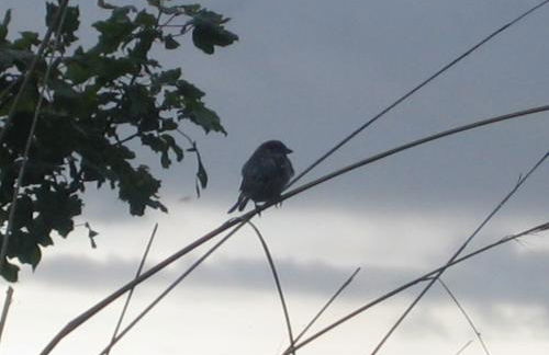 Park Cottage - Photo 18